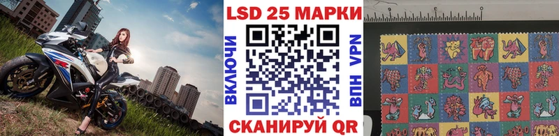 Марки N-bome 1500мкг это клад Элиста МЕГА как войти
