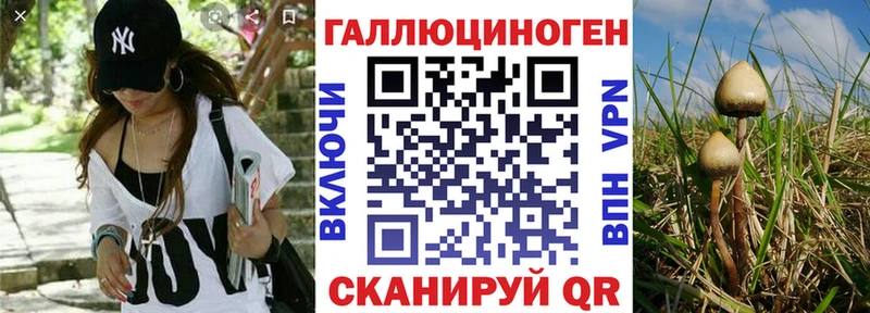 МЕГА как войти  Элиста  Псилоцибиновые грибы Psilocybine cubensis 