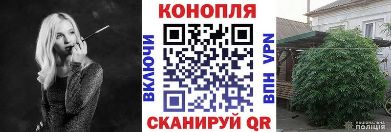 Марихуана White Widow  гидра вход  Элиста 